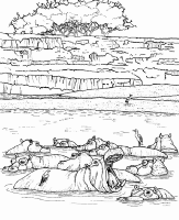 A coloring page of nature in africa